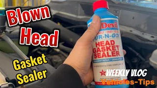 Vehicles Tips Blown head gasket sealer ! Best repair treatment Product Blue Devil Liquid Top review