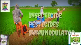 llSpraying of insecticide ll CELCORN ll UNIBLAST ll BACTININ ll Spiyer ll Devendra Verma ll