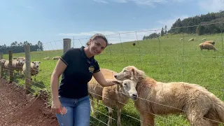 MULHER DEIXOU A CIDADE GRANDE PARA MORAR NO SÍTIO - SIMONE