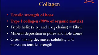 Miller's Orthopaedic Lectures: Basic Sciences 1