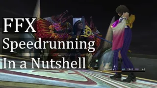 FFX Speedrunning in a Nutshell