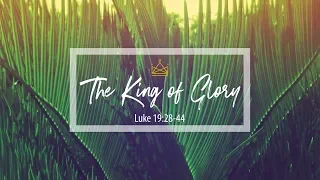 Luke 19:28-44 | The King of Glory | Matthew Dodd