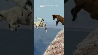 Goats that Laugh at Gravity 🐐😂 #Goats #AnimalAntics #GravityDefyingFun