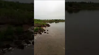 мырган! николаевский район село Чля.