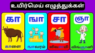 உயிர்மெய் எழுத்துக்கள் - Uyirmei Ezhuthukkal | ஆ வரிசை சொற்கள் | Learn Tamil Alphabets | @mamotu.