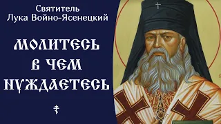 14/30 Молитесь в чём нуждаетесь ☦️ Лука Войно-Ясенецкий @SpasenieVoHriste