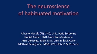 The Neuroscience of Habituated Motivation