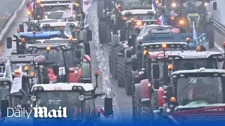 LIVE: Protesting farmers 'besiege' Paris by blocking the A4 highway