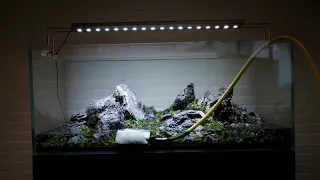 FB LIVE | Aquascaping Workshop at Aquaflora July2017