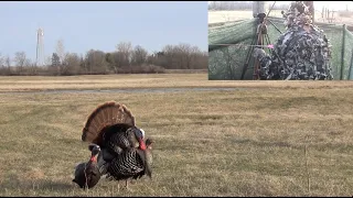 "Stick Bow" - Traditional Archery Wisconsin Turkey Hunt 2022
