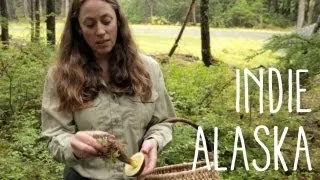 I Am A Mushroom Hunter | INDIE ALASKA