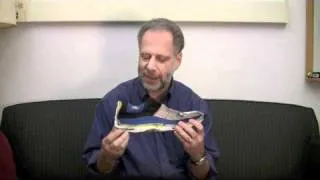 Daniel Lieberman on Shoes