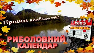 КАЛЕНДАР РИБАКА | Прогноз клювання риби на жовтень (2023)