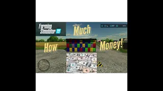 How Much Can You Make Off Bees??? Farming Simulator 22