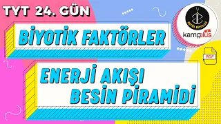 24) Biyotik Faktörler, Enerji Akışı, Besin Piramidi Konu Anlatımı | 10. Sınıf Biyoloji | TYT 24. Gün