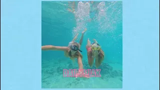 A Coastal Playlist Since Summer Is In 4 Months 🌊🐚 🐬Dailymiak