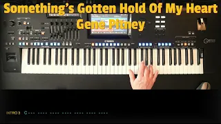 Something's Gotten Hold Of My Heart-Gene Pitney, Cover, eingespielt mit titelbezogenem Style.