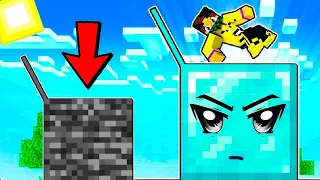 MINECRAFT MA PUOI ENTRARE IN TUTTI I BLOCCHI