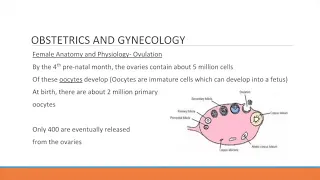 (Archived) Brief Obstetrics Review for ALS Providers