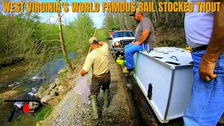 West Virginia's World Famous Rail Trout