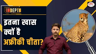 Kuno National Park | The new home of African cheetahs in India Explained | Indepth | Drishti IAS