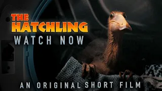THE HATCHLING | An Original Dinosaur Short Film
