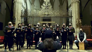 Despedida Scout (Canción del adiós) - Coro GSE Madrid - Anónimo