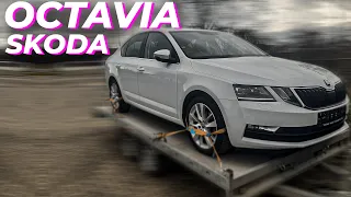 Skoda Octavia 1.0 Benzin/ Осмотр, покупка в Германии