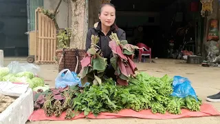 Harvesting Green Vegetables & Sour Vegetables, Jiaogulan Goes to the market sell | Ly Thi Tam