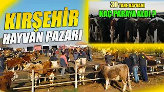 ''KIRŞEHİR'' CANLI HAYVAN PAZARINI SİZLER İÇİN GEZDİM | BÖLÜM 1 !!!