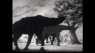 JOURNEY INTO TIME.  1960 Animated Classroom Film on Dinosaurs & Evolution.