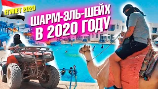 Египет 2020 без туристов. Шарм Эль Шейх. Отель Все включено и ночная жизнь. Сафари на квадроциклах.