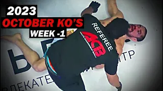 MMA & Boxing Knockouts I October 2023 Week 1