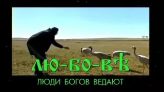 Любовь Лю-Бо-Вь - Люди Богов Ведают