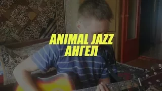 ANIMAL JAZZ АНГЕЛ Cover