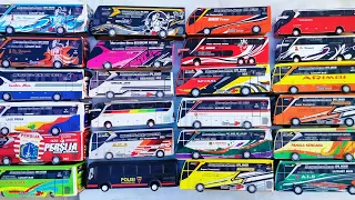 BUS LORENA, Bus cepat Eka, bus pahala kencana, bus ALS, bus Mahendra, bus Agramas, bus persija JKT