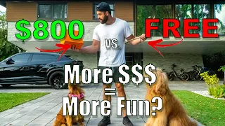 Cheap vs Expensive Dog Toys: You Won't BELIEVE the Winner!!