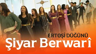 Şiyar Berwari -  Yüksekova - Ertoşi [ 2023 ©  ] شيار برواري Wedding