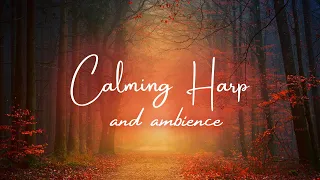 Calming Harp Ambience | Fantasy Forest | Studying | Sleeping | Relaxing | Yoga | Meditation