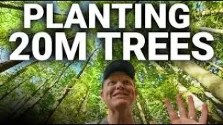 SmarterEveryDay=Planting 20 Million Trees      #TeamTrees