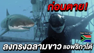 (ENG Sub)ก่อนตาย! ลงกรงฉลามขาว แอฟริกาใต้คนเดียว! 🇿🇦 | Great White Shark Cage Diving in South Africa