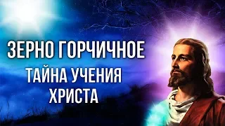 Тайна учения Христа: "Зерно горчичное". Как стать счастливым?