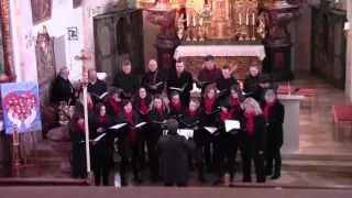 Günztaler Vocalensemble "Liebe ist wie eine Rose" Amanda Mc Broom