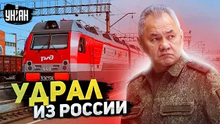 Шойгу удрал из России! Реальная причина уже известна - Жданов объяснил