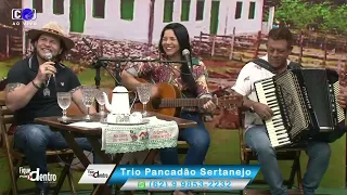 Sereno na Flor - Trio Pancadão Sertanejo