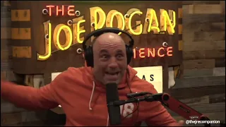 Joe Rogan's visit to Kid Rock's house.