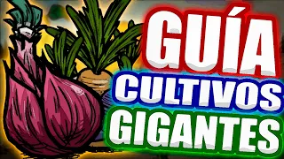 ¡¡MEGA-GUÍA de CULTIVOS GIGANTES!! | Don't Starve Together | Guía en Español