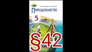 42 "Грунт як середовище життя та його мешканці"//5 клас//Коршевнюк