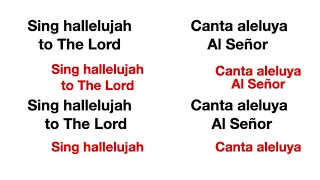 Sing Hallelujah - Canta Aleluya