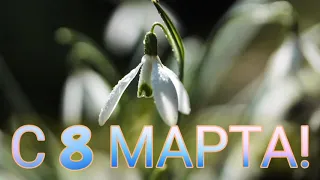 🅚открытка с 8 марта